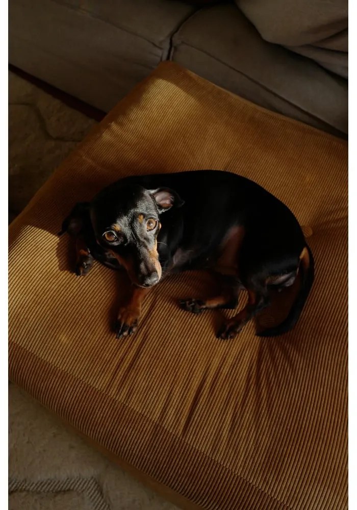 Pouf di seduta Naturale More - Karup Design