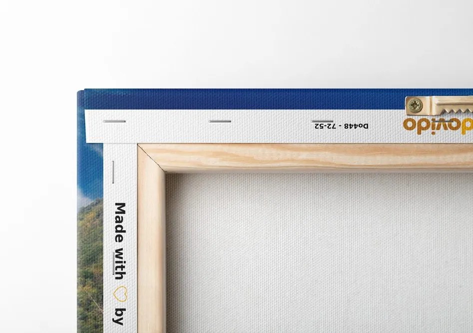 Quadro su tela – Vista sul Buddha dorato