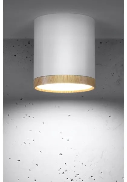 Plafoniera LED TUBA LED/5W/230V bianco/beige