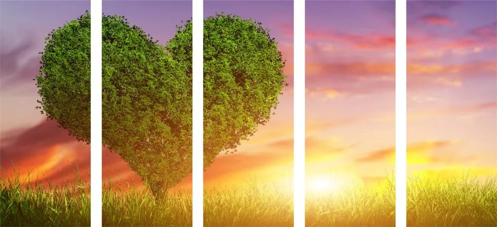 Quadri 5 pezzi – Albero a forma di cuore sul prato