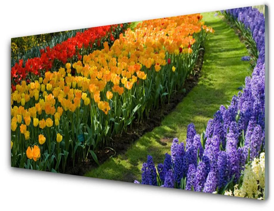 Quadro vetro acrilico Fiori del giardino dei tulipani 100x50 cm