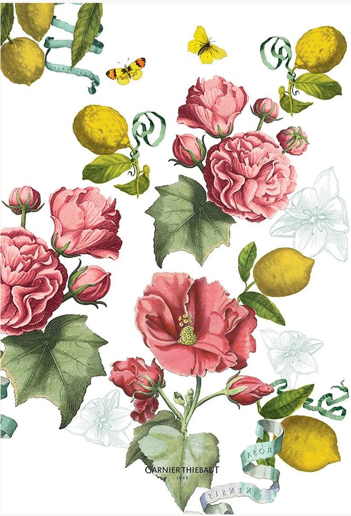 Set di 4 strofinacci in lino e cotone Citrons De Menton Romance