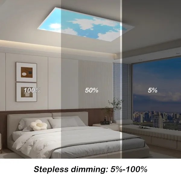 Brilagi - plafoniera LED dimmerabile SLIMFRAME SKY LED/80W/230V 120x60 cm argento/blu + telecomando