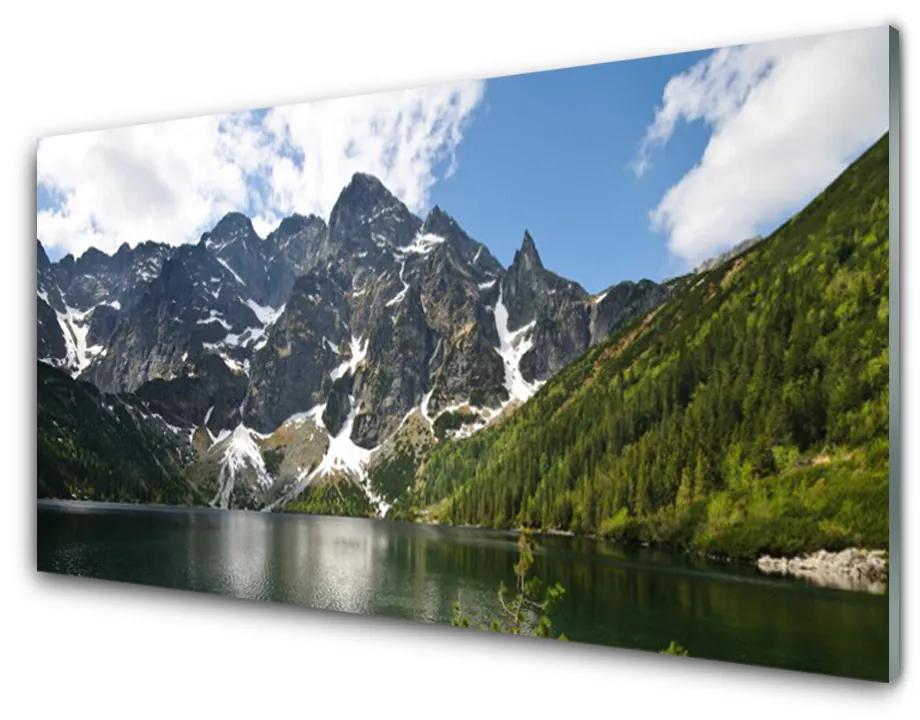 Quadro acrilico Paesaggio della foresta del lago di montagna 100x50 cm