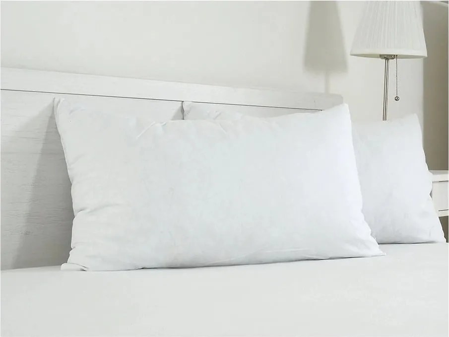 Federa per cuscino in cotone 45x75 cm Visco – B.E.S.