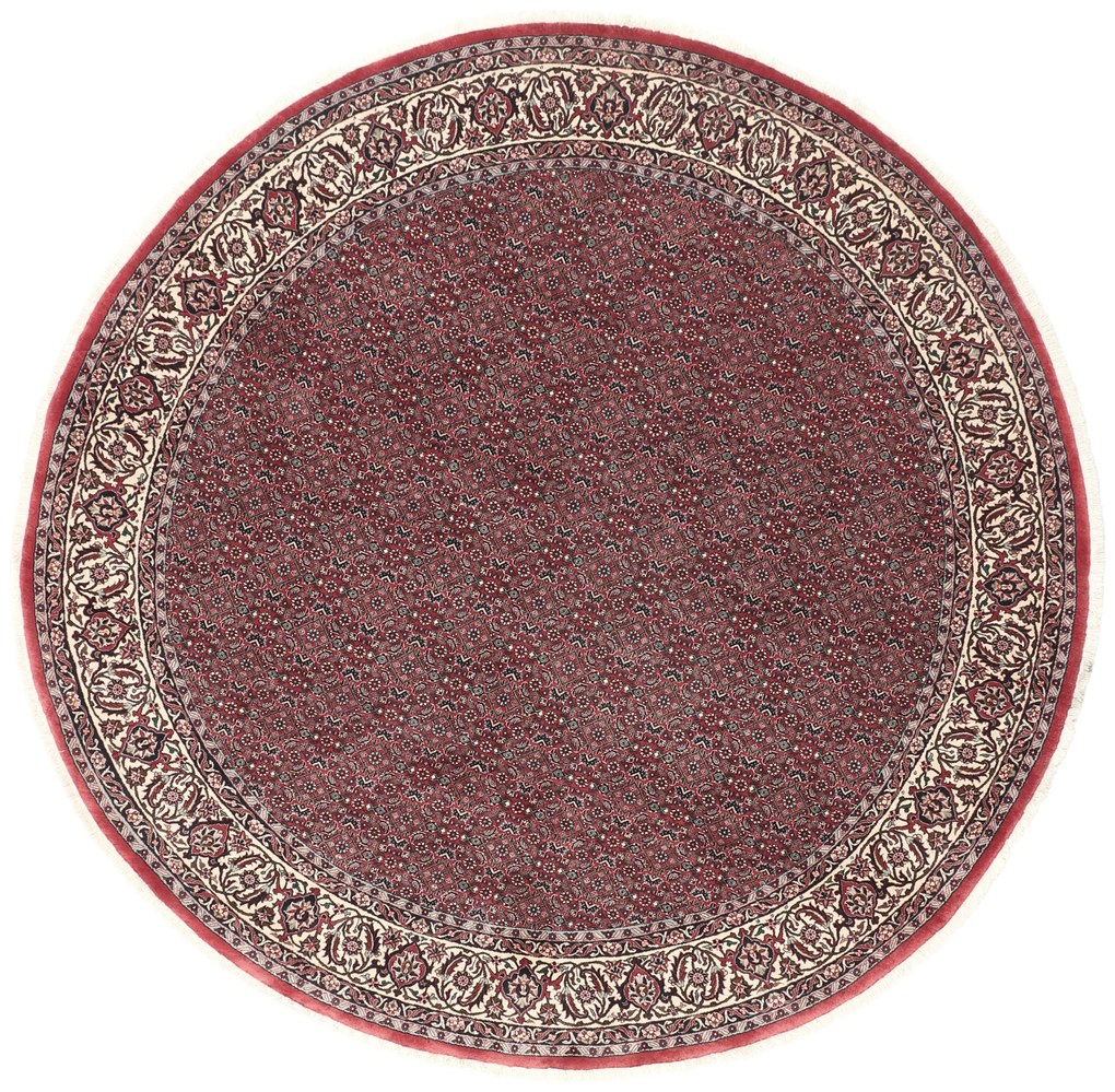 Bidjar Tappeto 220 x 220 (Iran) Annodato A Mano
