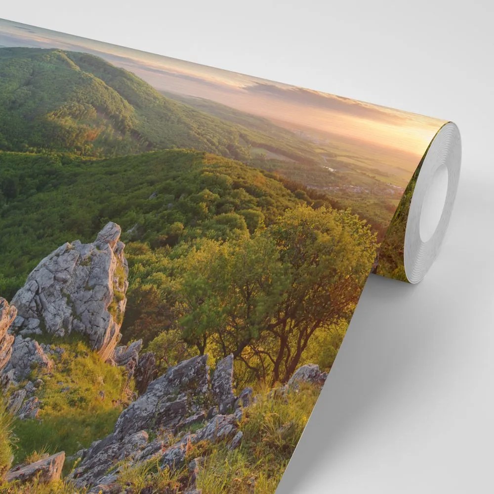 Carta da parati – Natura illuminata dal sole