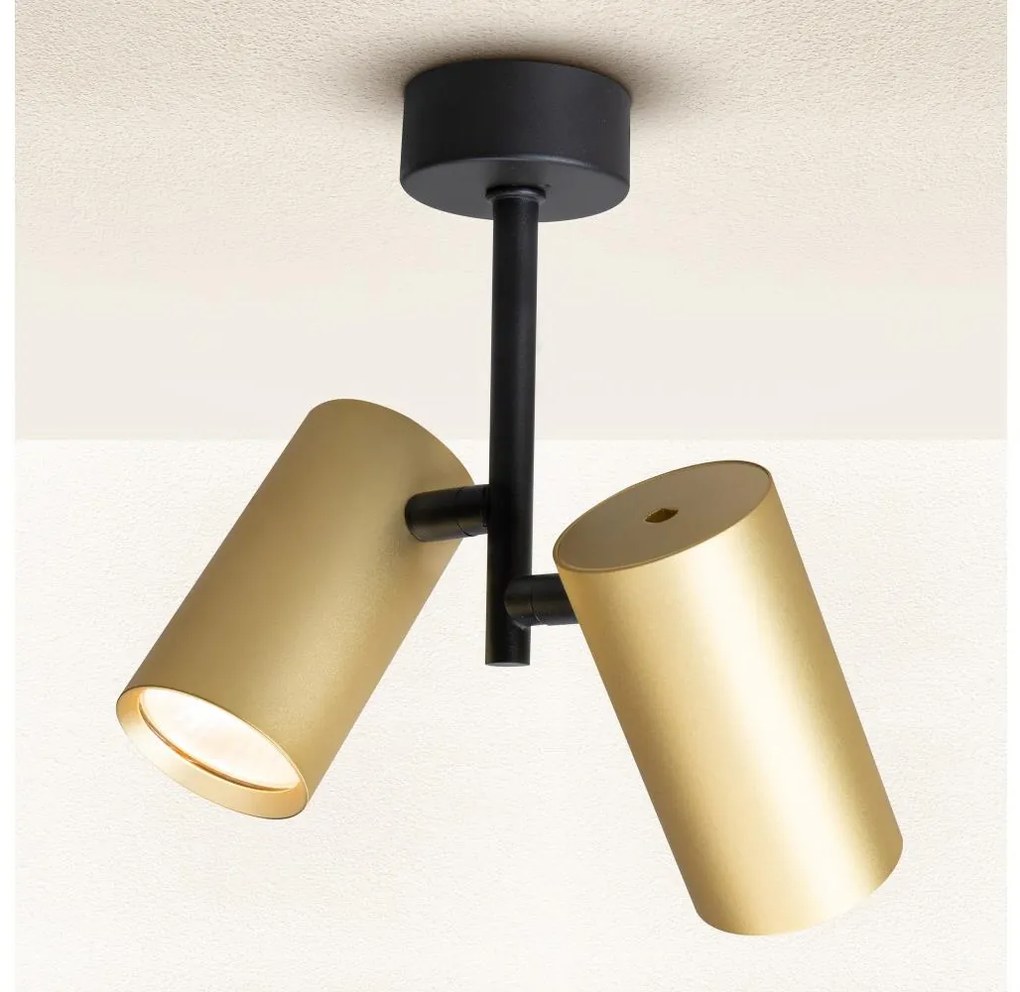 Brilagi - Faretto SELE VERTICAL 2xGU10/30W/230V nero/oro