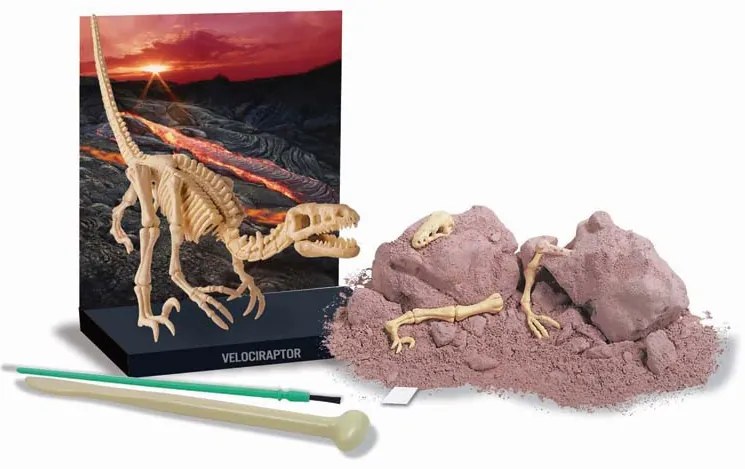 Scavo di un Velociraptor con uno scheletro pieghevole