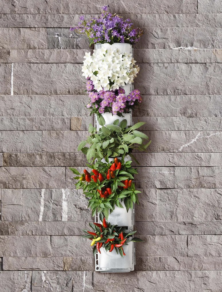 Giardino Verticale 6 Vasi 15x17x12 cm Intercambiabili Rama Vertical Garden...