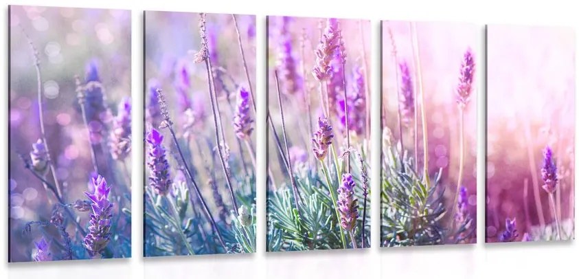 Quadri 5 pezzi – Fiori di lavanda magici
