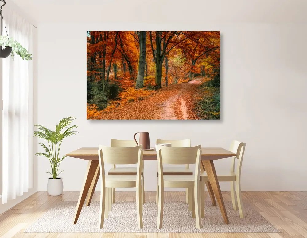 Stampa su tela – Foresta in autunno