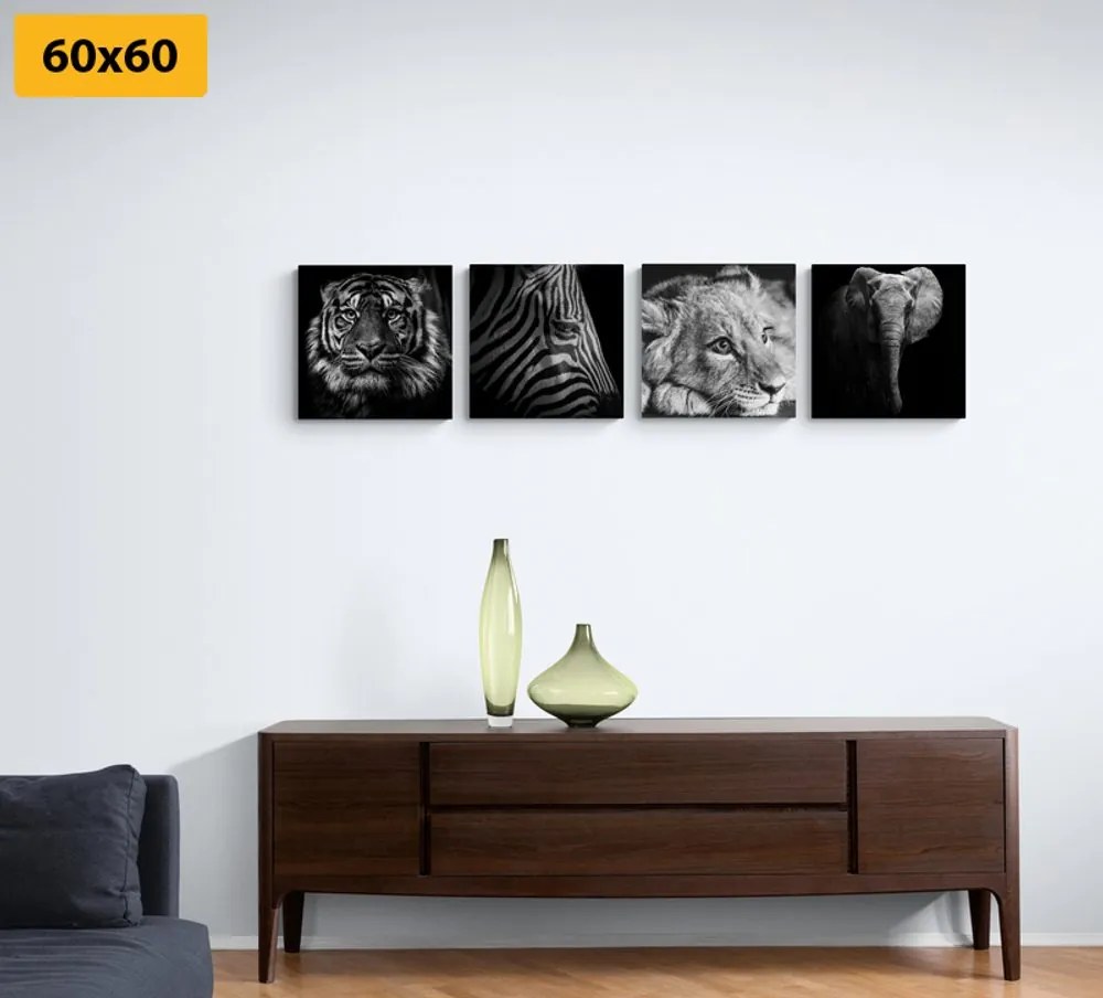 Set di quadri – Animali selvatici in bianco e nero