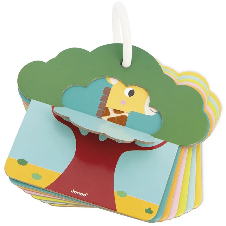 Schede tattili - Savana