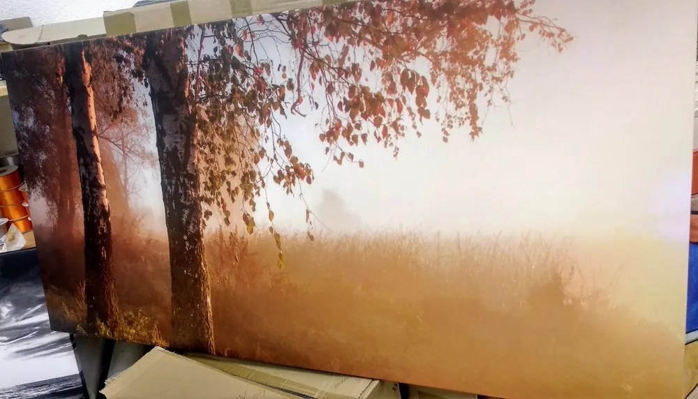 Quadro su tela – Foresta autunnale nebbiosa