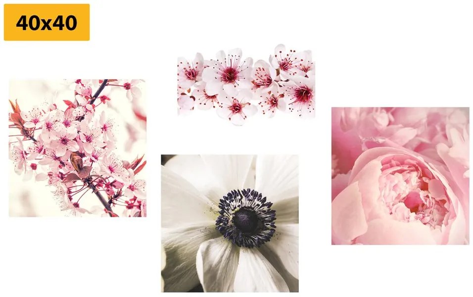 Set di quadri – Delicatezza dei fiori