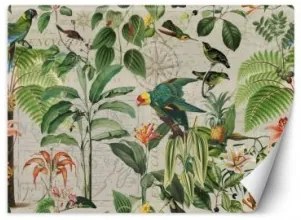 Carta Da Parati, Collage di pappagalli colorati nella giungla 350x245 Effetto Tela Fliselina TNT