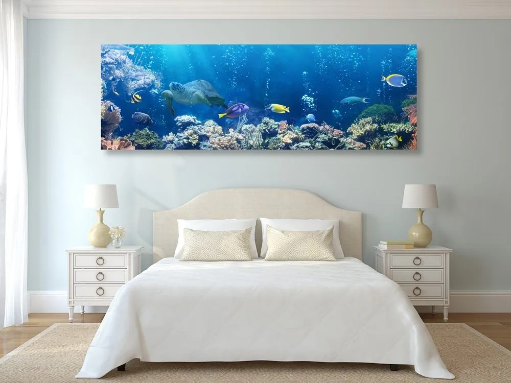 Quadro su tela – Pesci tropicali