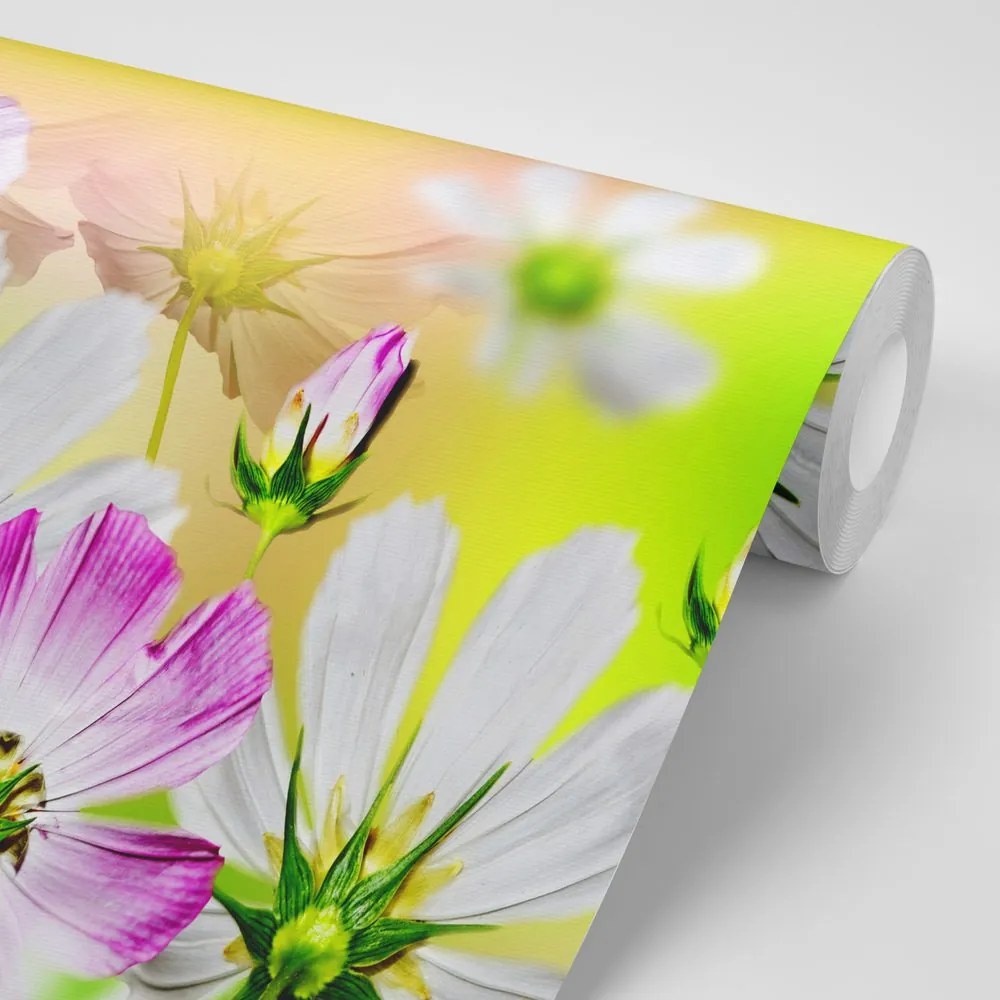 Carta da parati – Fiori da giardino
