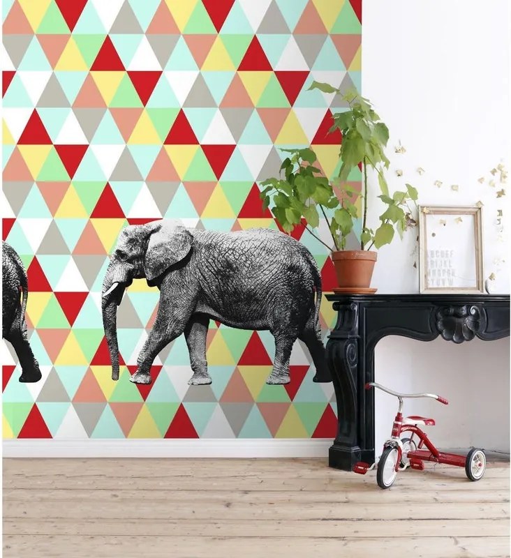 Fotomurale ESTA Elefante, Multicolor 186X280 cm