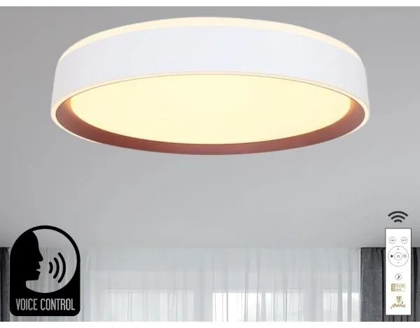 Plafoniera LED dimmerabile con controllo vocale OPAL LED/48W/230V + +TC