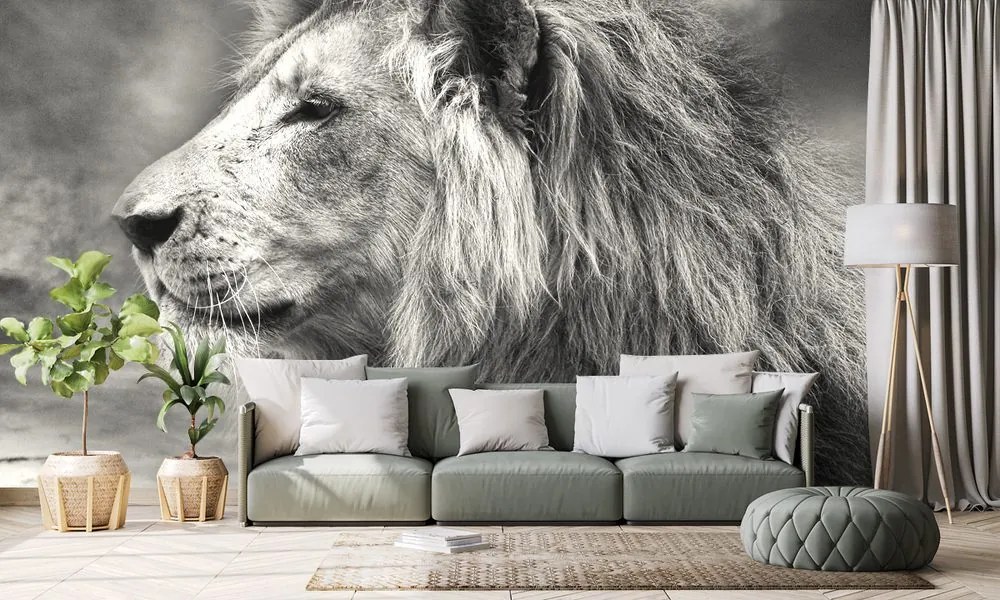Carta da parati – Leone africano in bianco e nero