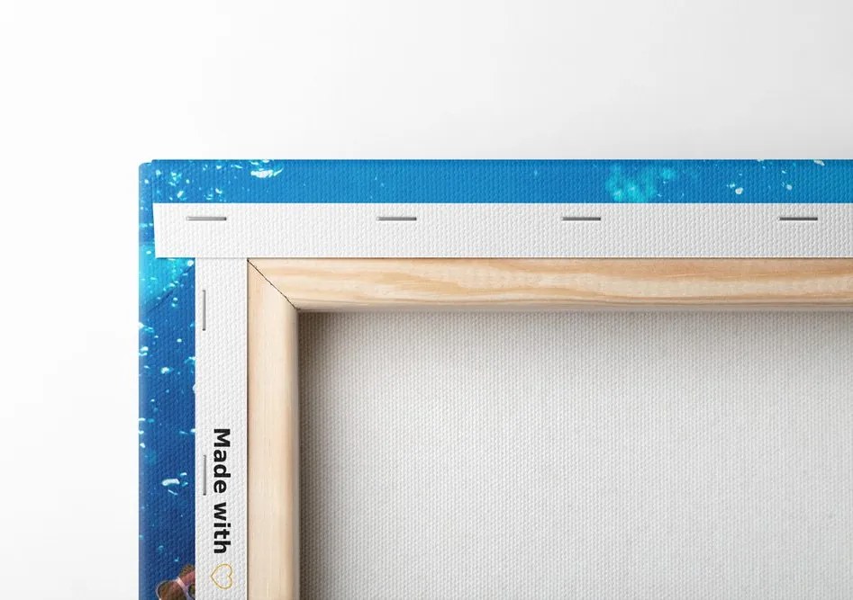 Quadro su tela – Pesci tropicali