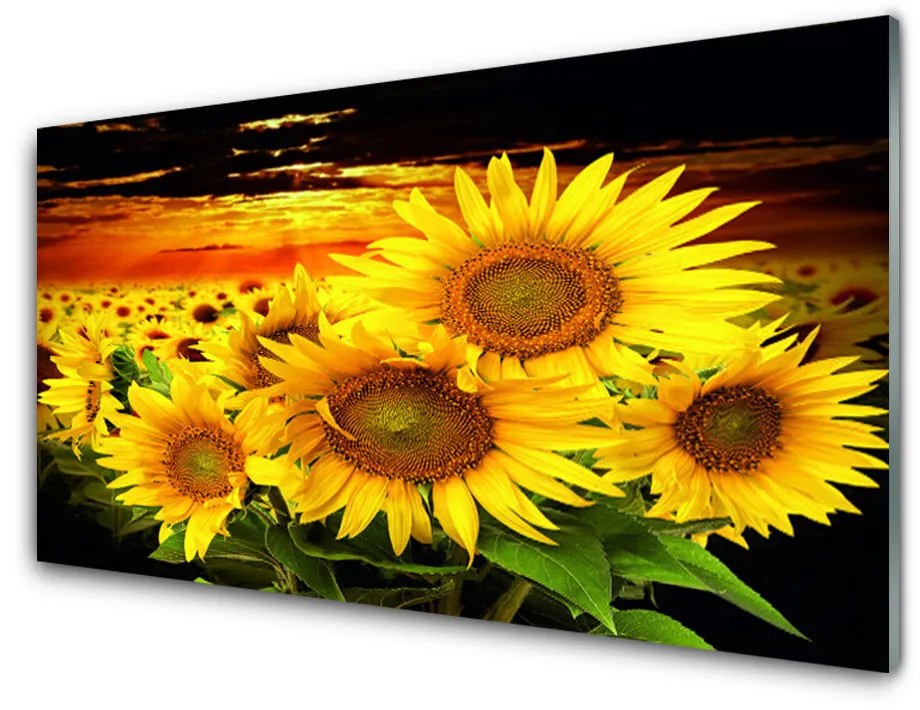 Quadro in vetro Pianta di girasole 100x50 cm