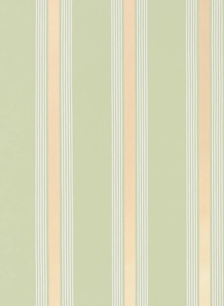 Osborne & Little Carta da parati Manetti Stripe - Moss