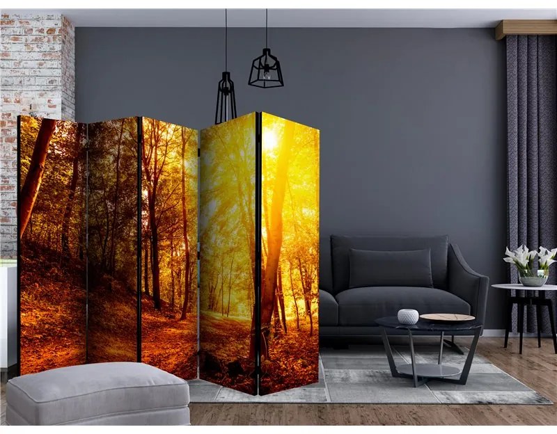 Paravento  Autumn Walk II [Room Dividers]  Colore ---, Dimensioni e Misure 225x172