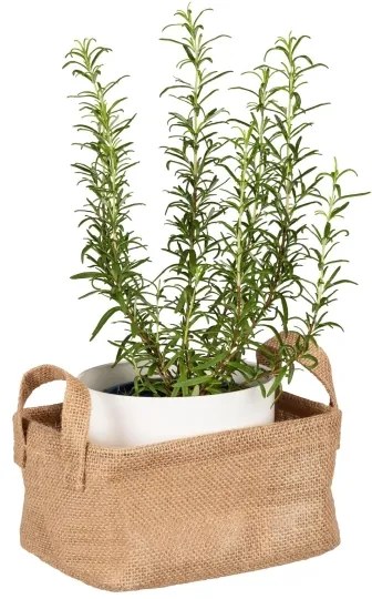 WENKO 64470100 - Cestino JUNA 20x15 cm marrone