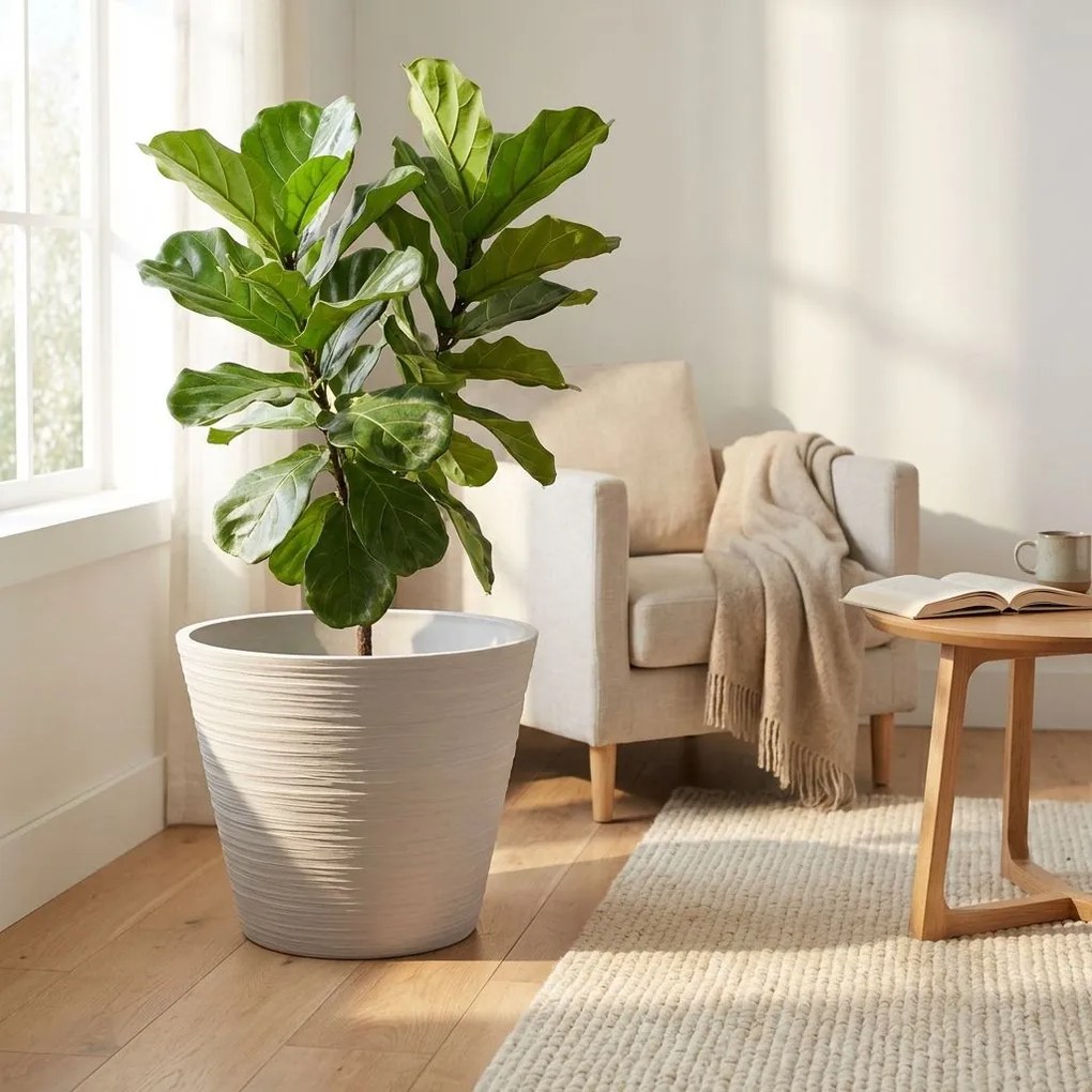 RAQUEL - vaso grande