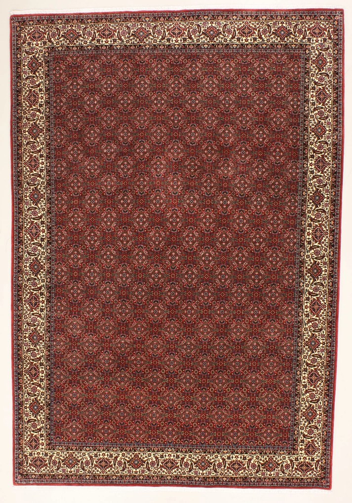 Bidjar Tappeto 200 x 300 (Iran) Annodato A Mano