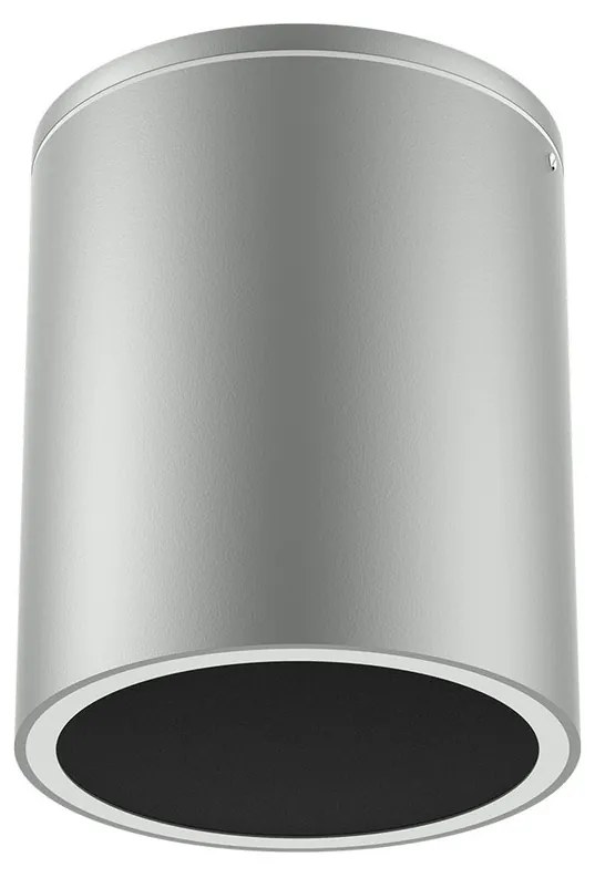 Applique da soffitto Cilindrica PAR30 IP54 in Alluminio e Vetro - Grigia