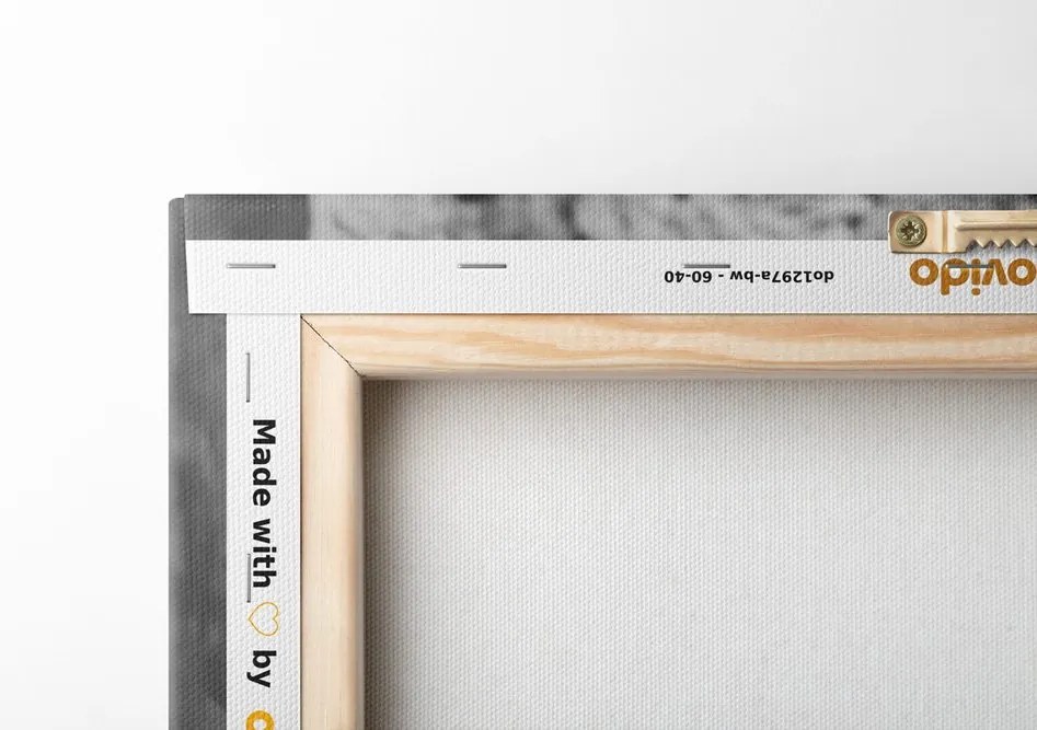 Quadro su tela – Rose vintage in bianco e nero