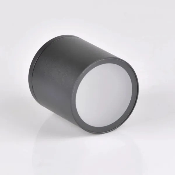 Luce Spot da esterno OHIO 1xGU10/10W/230V IP54 nero