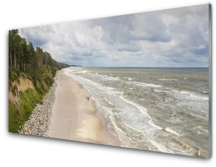 Pannello paraschizzi cucina Spiaggia, mare, albero, natura 100x50 cm
