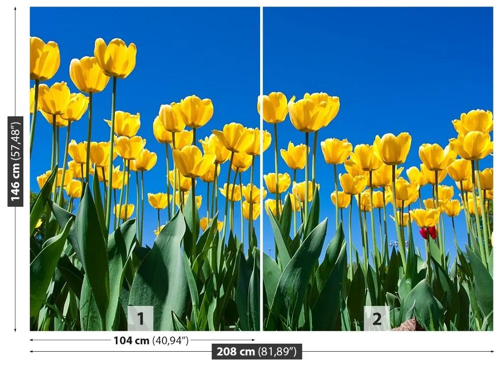Carta da parati Tulips Flowers 104x70 cm