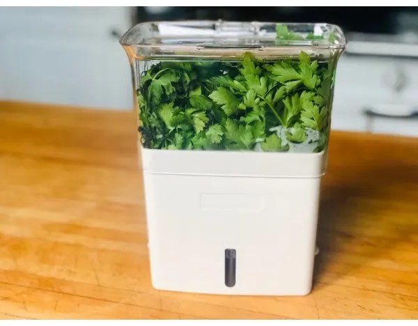 Cole&Mason - Contenitore per conservare le erbe aromatiche appena tagliate