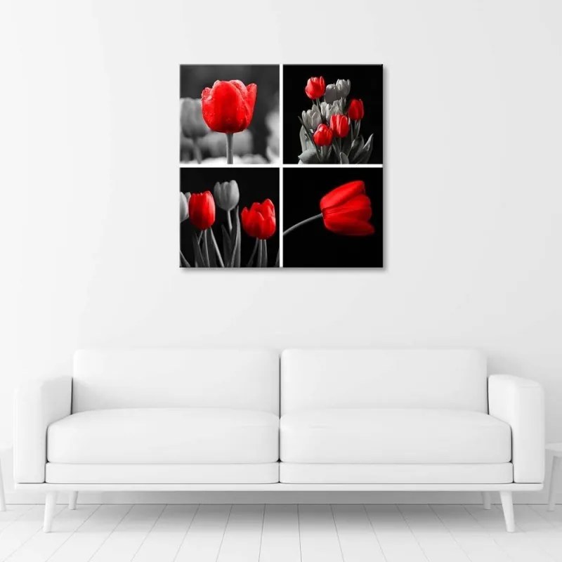 Quadro su tela, Set di tulipani rossi  Dimensioni 40x40