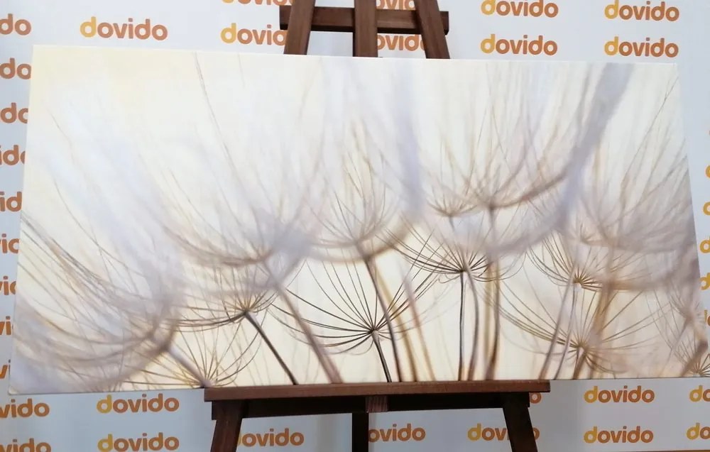 Quadro su tela – Semi di soffione