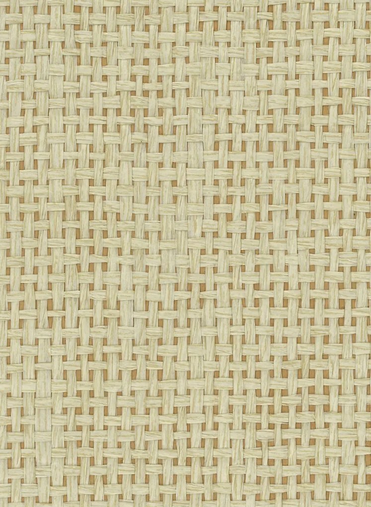 Osborne & Little Tapete Papyrus - Straw