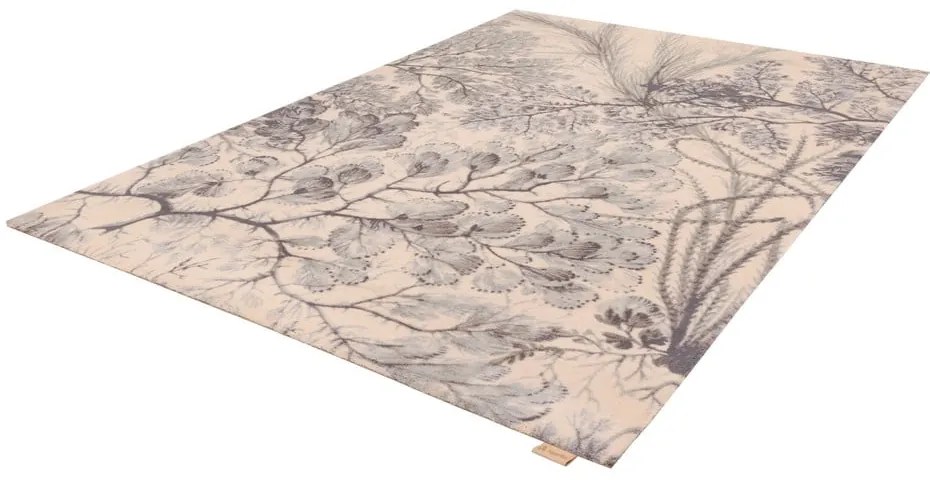 Tappeto color menta/beige in lana 200x300 cm V&amp;A Calisia Kelp – Agnella
