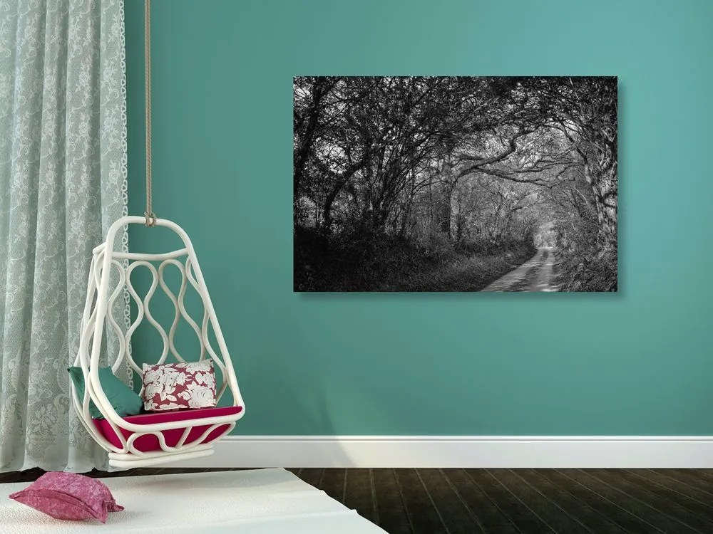 Stampa su tela – Foresta in bianco e nero
