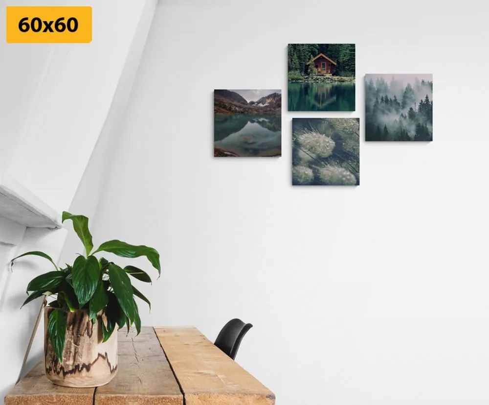Set di quadri – Natura incantevole