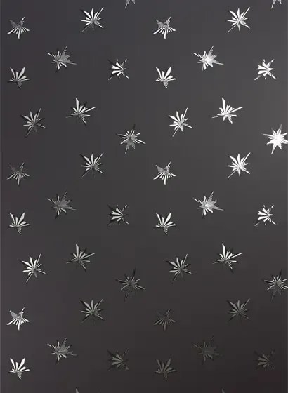 Matthew Williamson Carta da parati Sirius - Charcoal