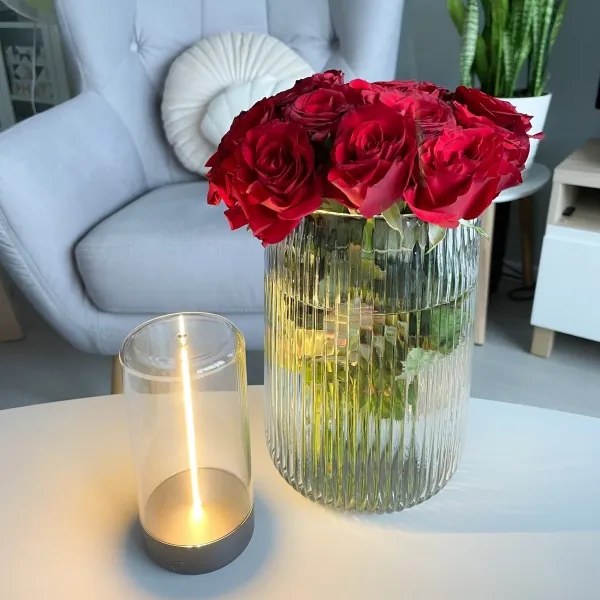 Zuma Line 1001 - Lampada LED ricaricabile dimmerabile ESTERNO LED/0,5W/230V nera