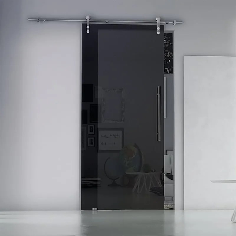 Porta scorrevole sinistra Fumè satin in acciaio nero, L 96 x H 215 cm, con binario Lux