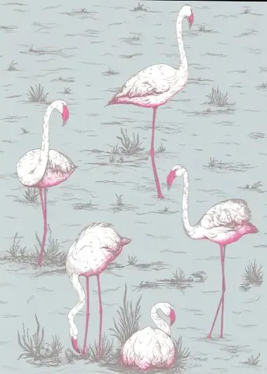 Cole & Son Carta da parati Flamingos - Helltürkis