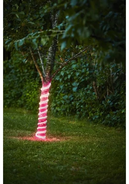 Eglo 900219 - Striscia LED FLATNEONLED LED/96W/24V 5 m IP44 rosa